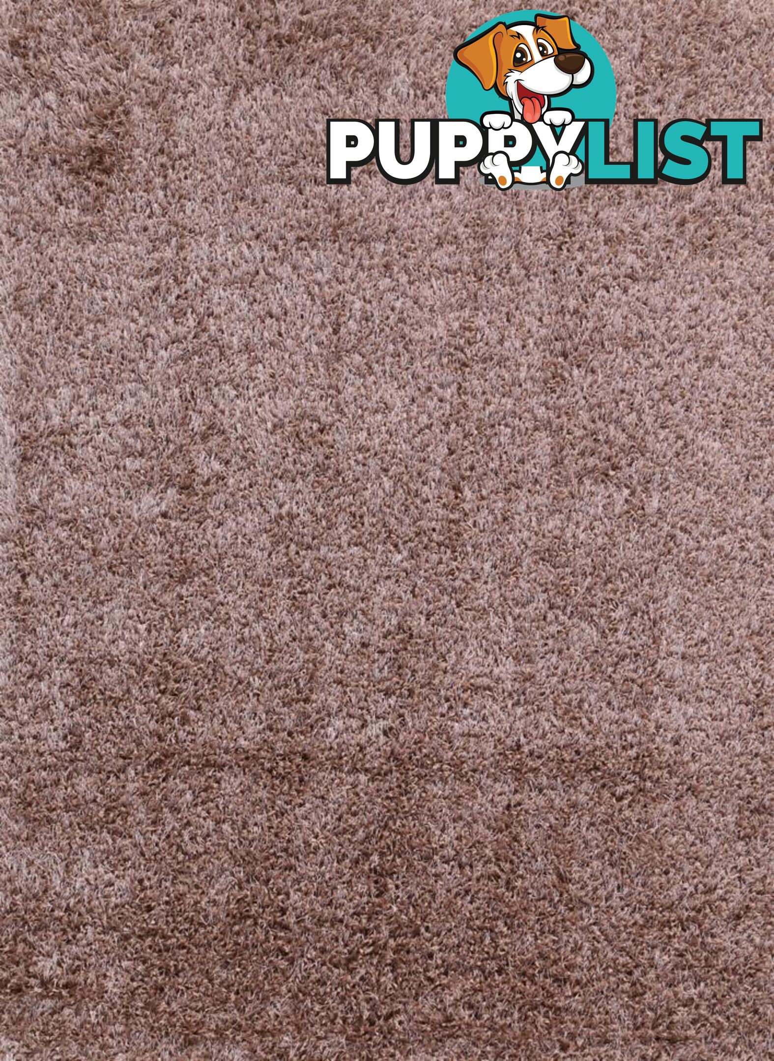 FLASH SHAGGY LIGHT BROWN RUG - Unbranded - 7427046337892