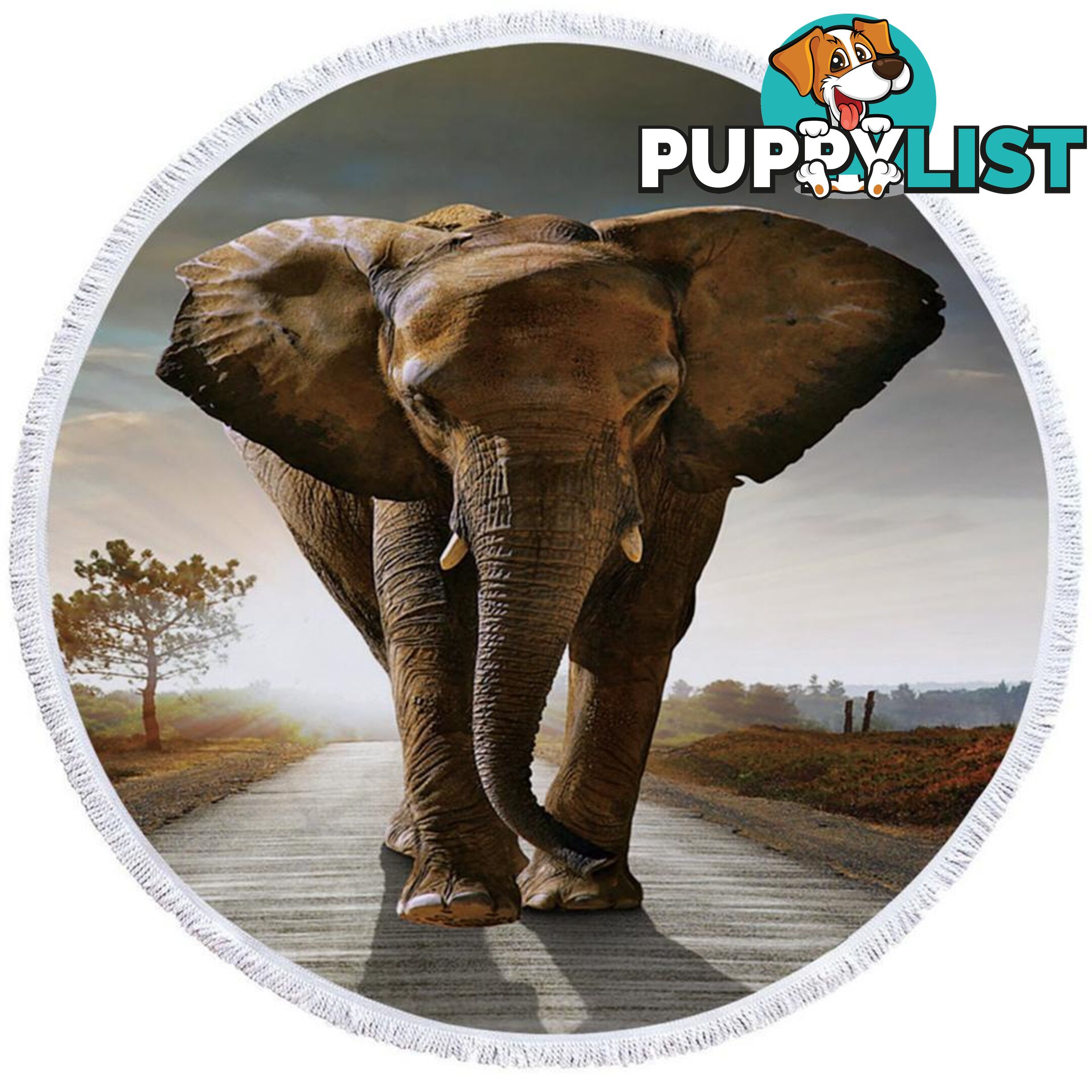 Elephant Photo Beach Towel - Towel - 7427046325844