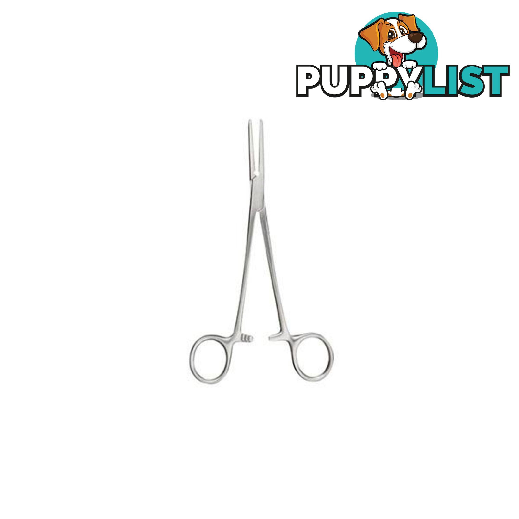 Forceps Spencer Wells Straight Superior Theatre - Forceps - 7427046221030