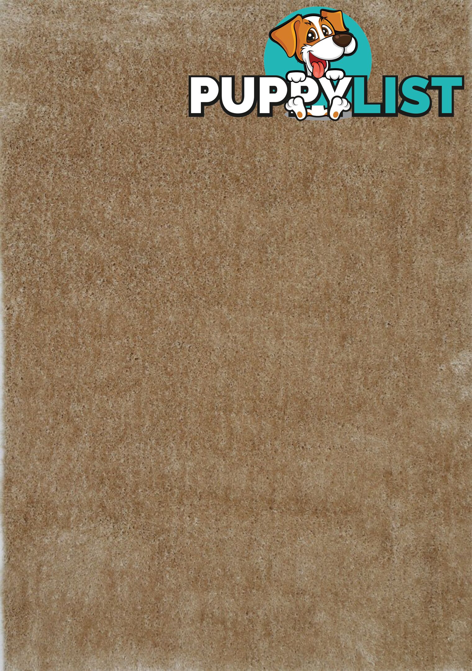 FIZZLE SHAGGY BEIGE RUG - Unbranded - 7427046337588