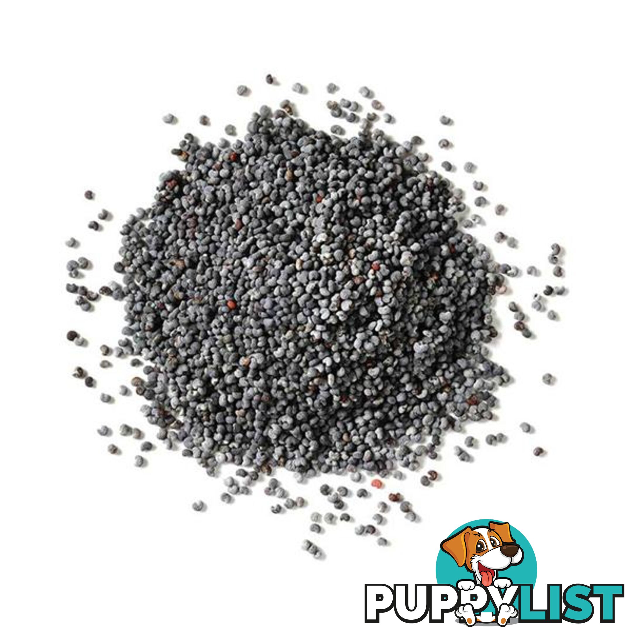 800G Poppy Seeds Bucket Blue Unwashed Australian Food Cook Baking - Unbranded - 7427046261555