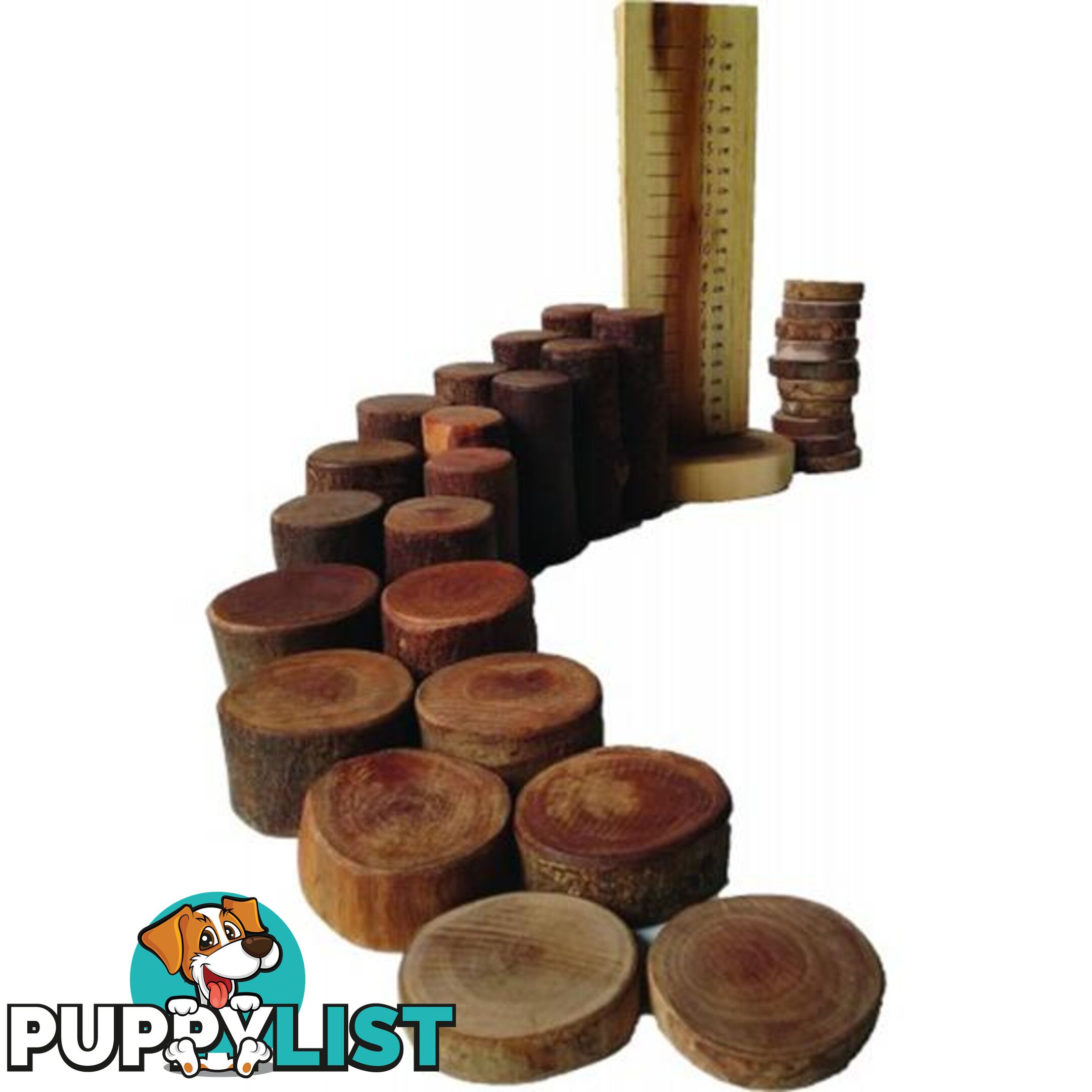 Math Set with Ruler - Qtoys - 8936074269338