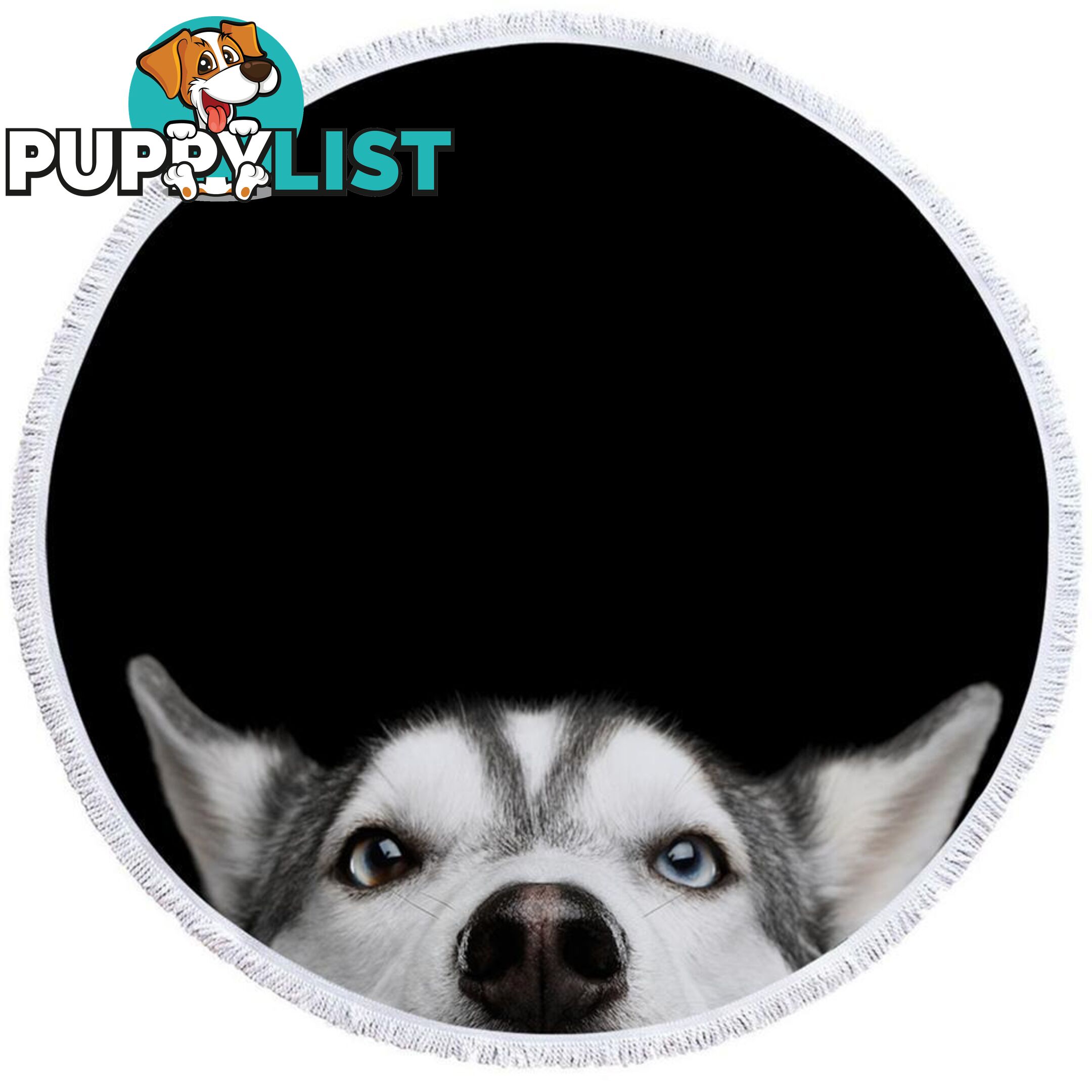 Cute Husky Dog Beach Towel - Towel - 7427046312998