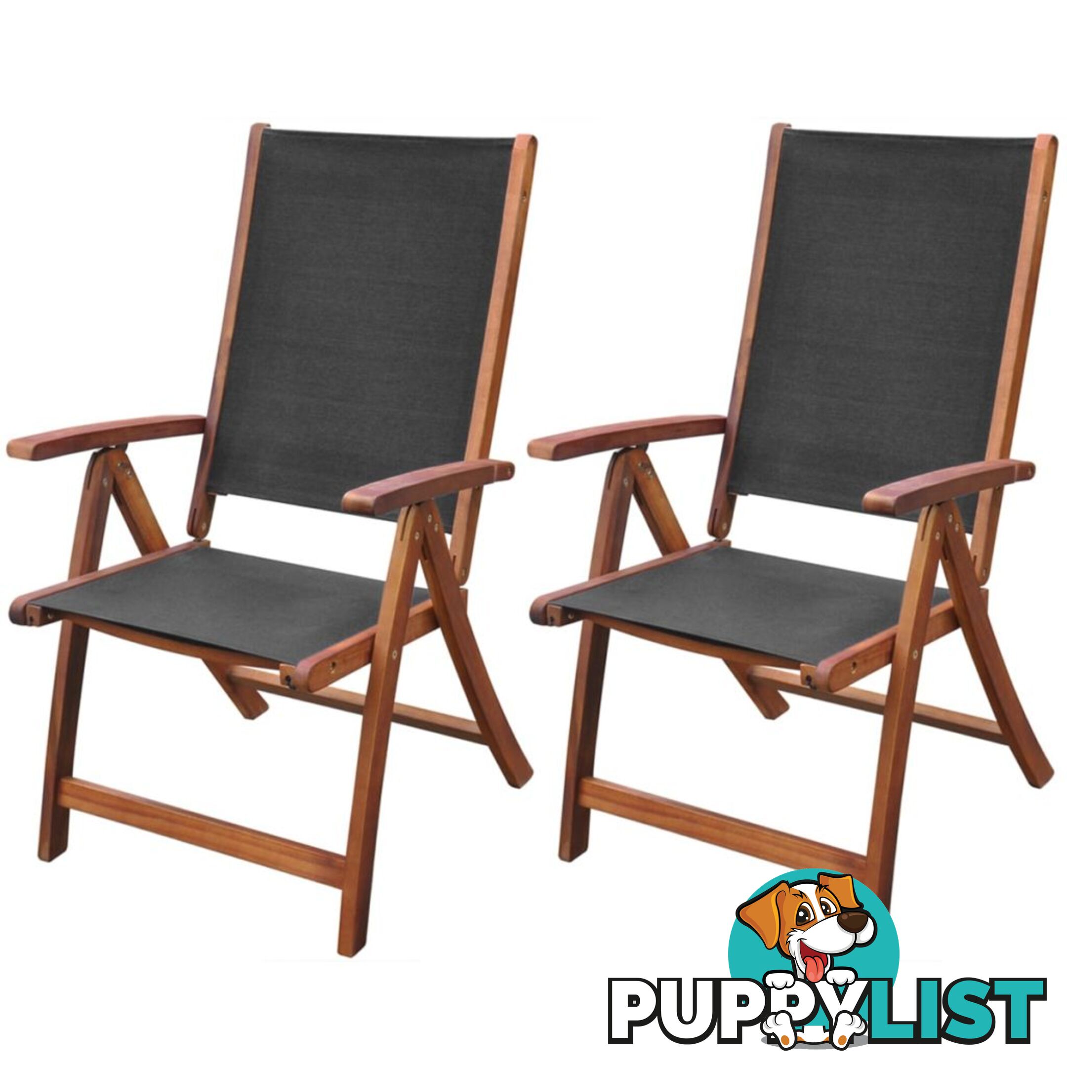 Acacia Wood Folding Chairs - Black (Set of 2) - Unbranded - 4326500416193