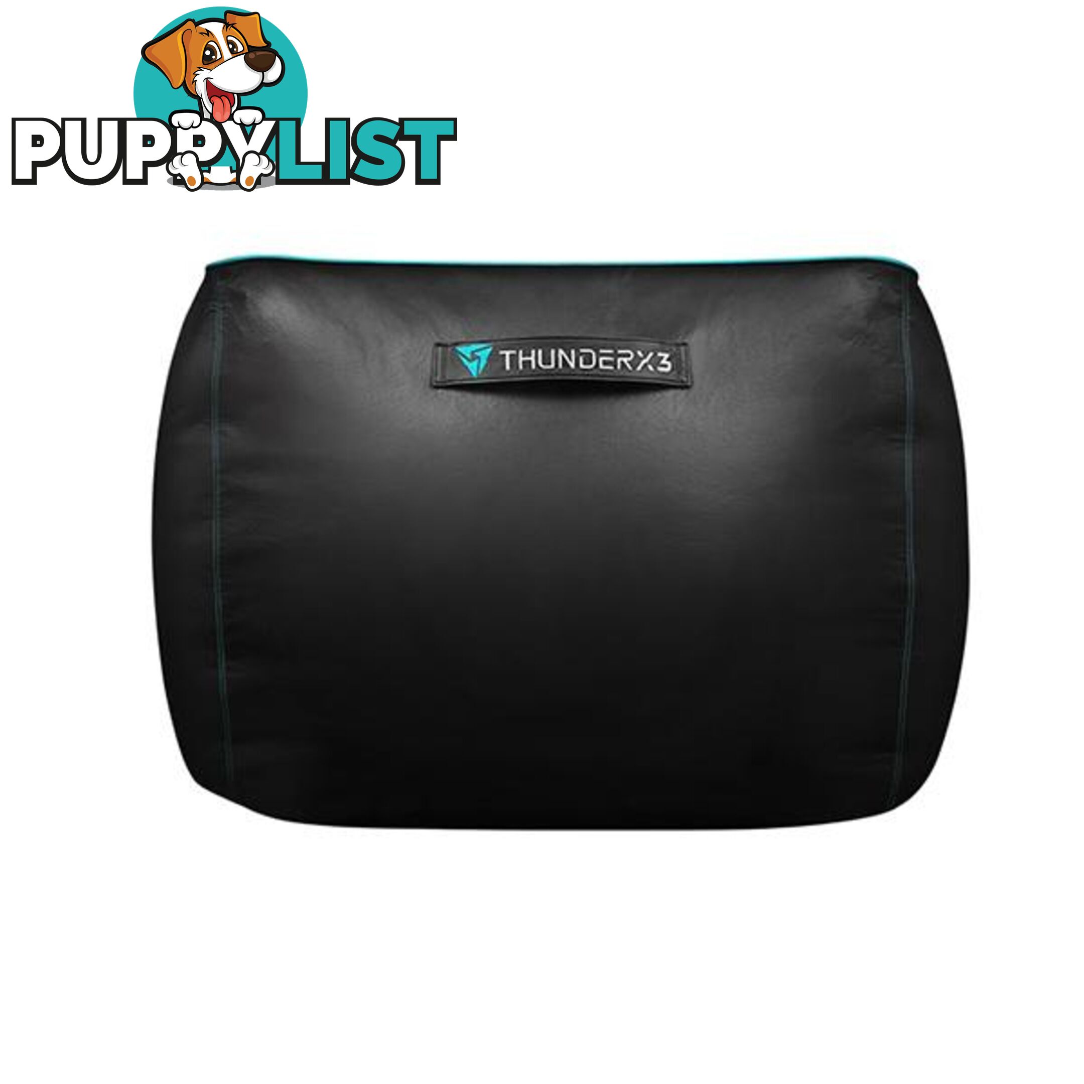 ThunderX3 DB5 Consoles Bean Bag Black Cyan - ThunderX3 - 4713105969979