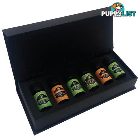 Essential Oils Gift Box | 6 x 10ml Bottles - Unbranded - 4344744415192