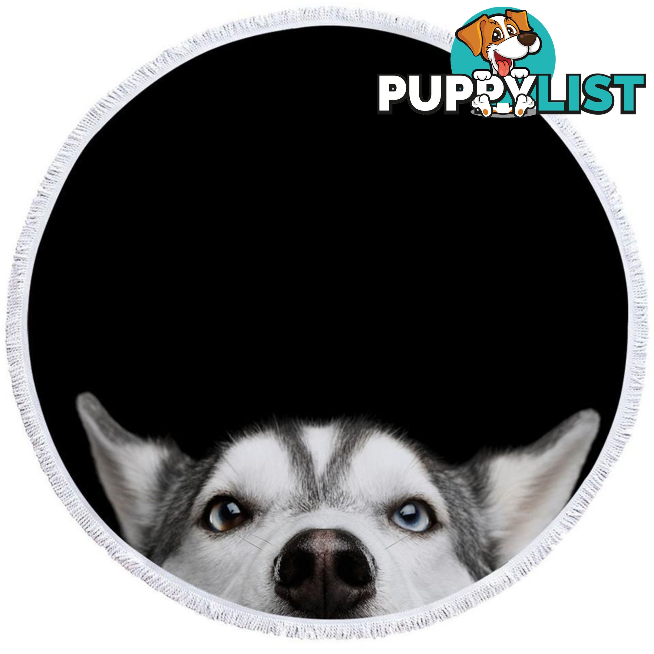 Cute Husky Dog Beach Towel - Towel - 7427046313001