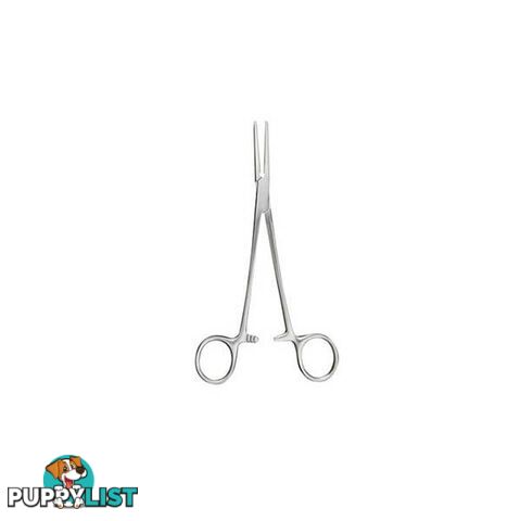 Forceps Spencer Wells Straight Ward - Forceps - 7427046222921