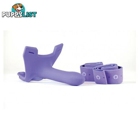 Zoro Purple - Adult Toys - 851127008048