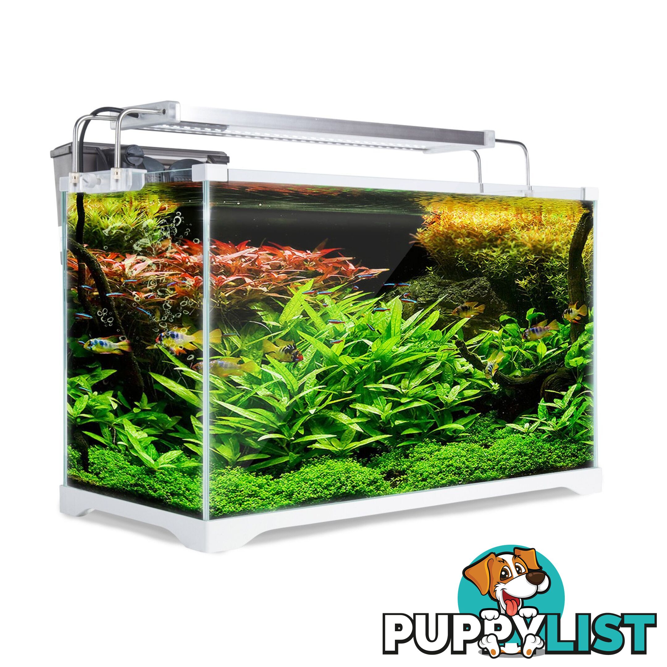 Aquarium Starfire Glass Aquarium Fish Tank 35L - Unbranded - 9352338006065