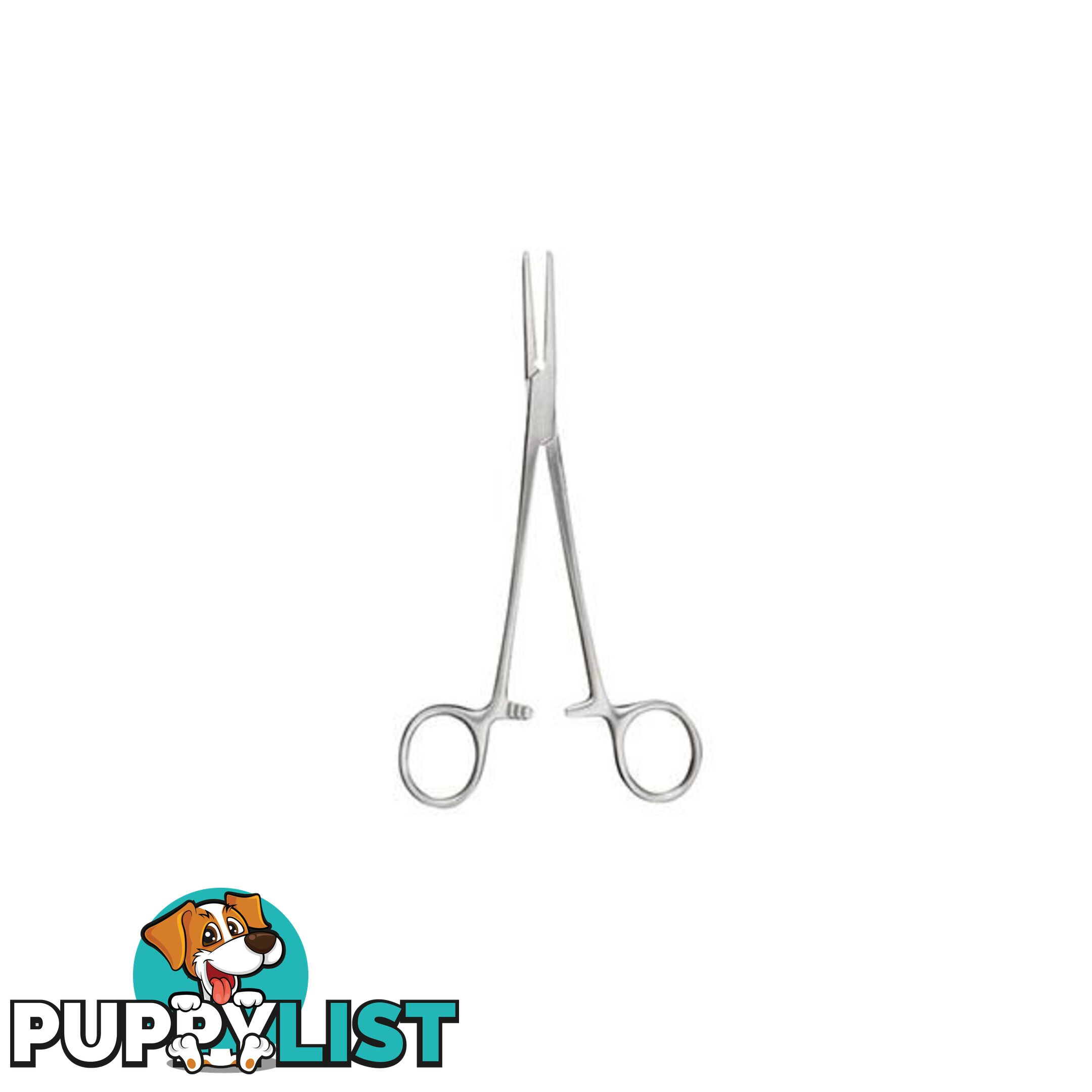 Forceps Spencer Wells Straight Superior Theatre - Forceps - 7427046221047