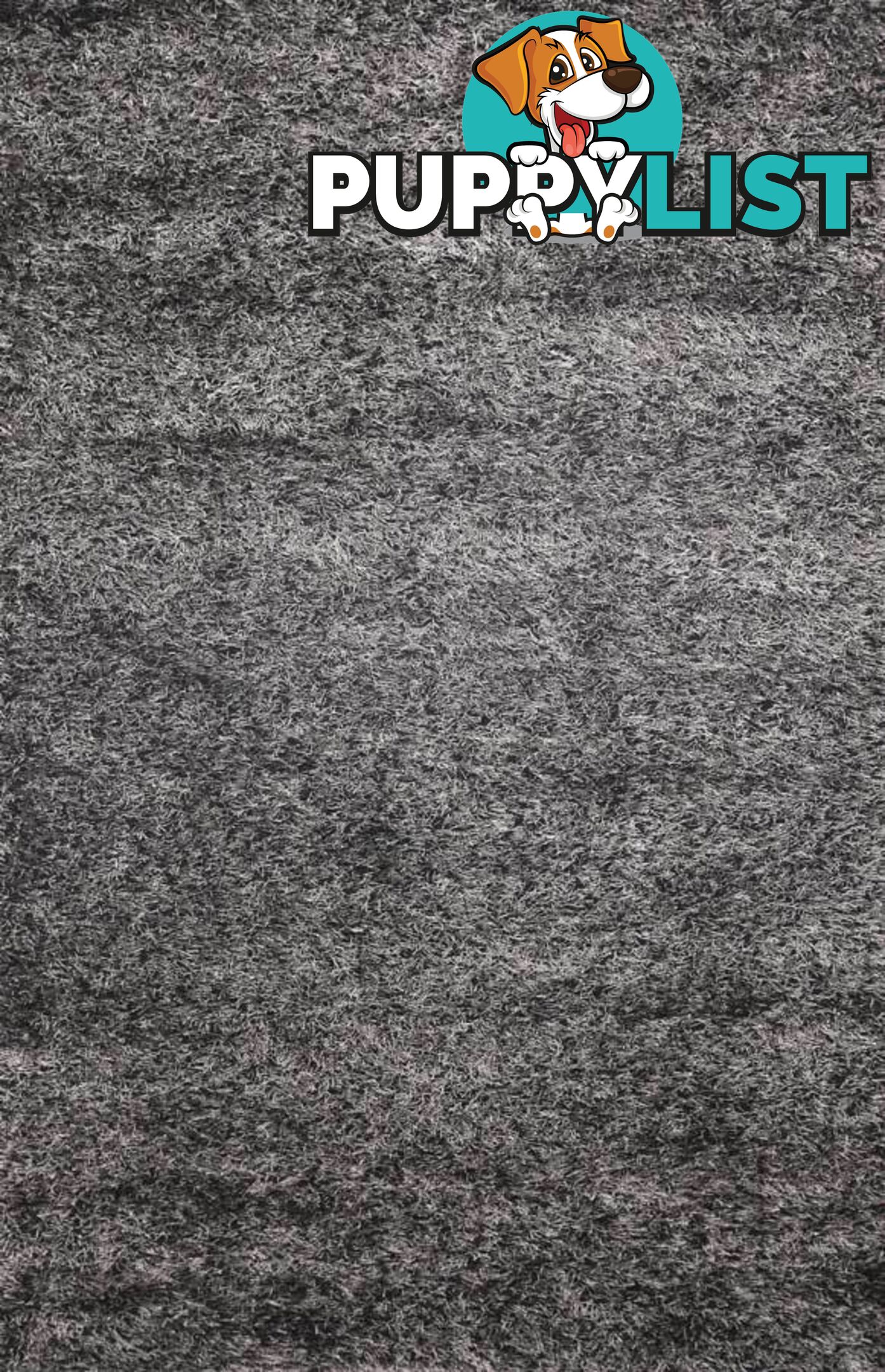 GRAND SHAGGY ANTHRACITE GREY RUG - Unbranded - 7427046338011