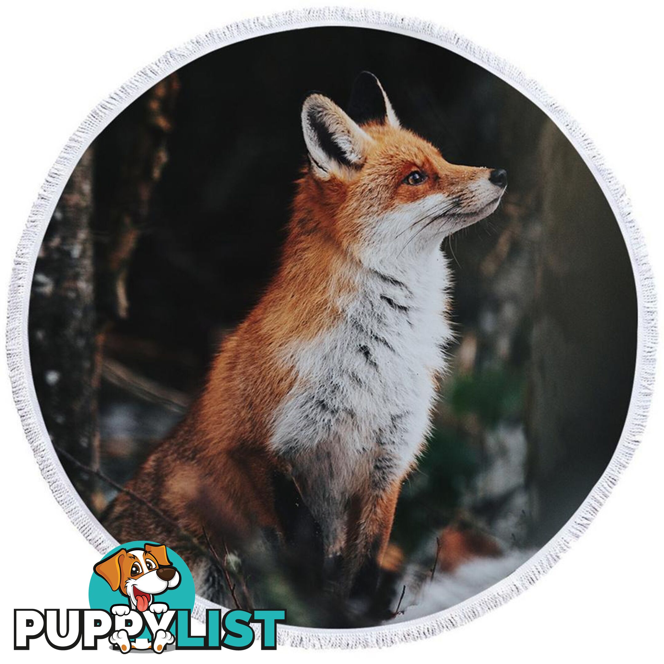 Beautiful Fox Beach Towel - Towel - 7427046307826