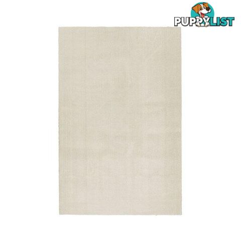 Beige Comfy Polyester Rug - Unbranded - 787976629410