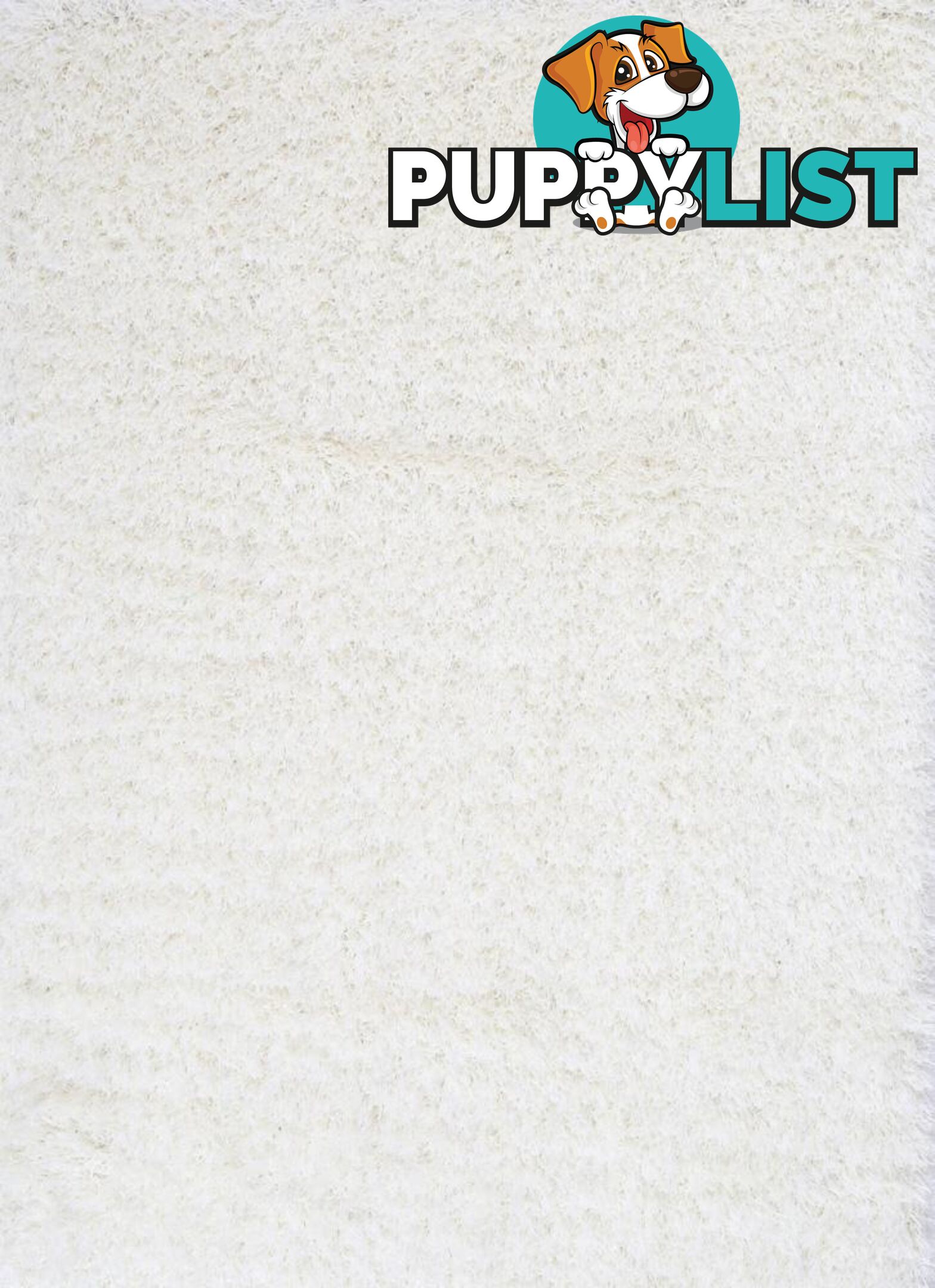 FLASH SHAGGY WHITE RUG - Unbranded - 7427046337939