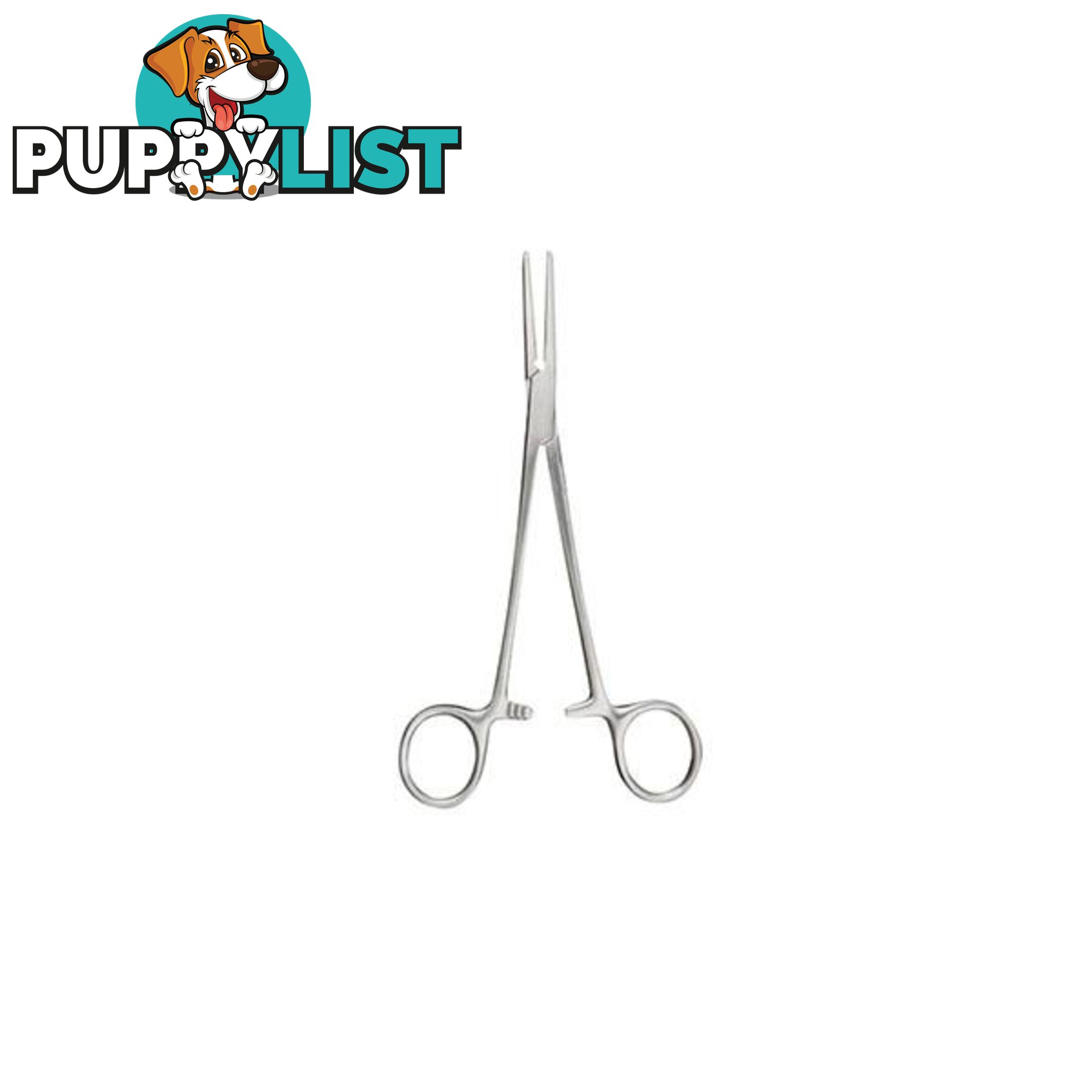 Forceps Spencer Wells Straight Superior Theatre - Forceps - 7427046221054