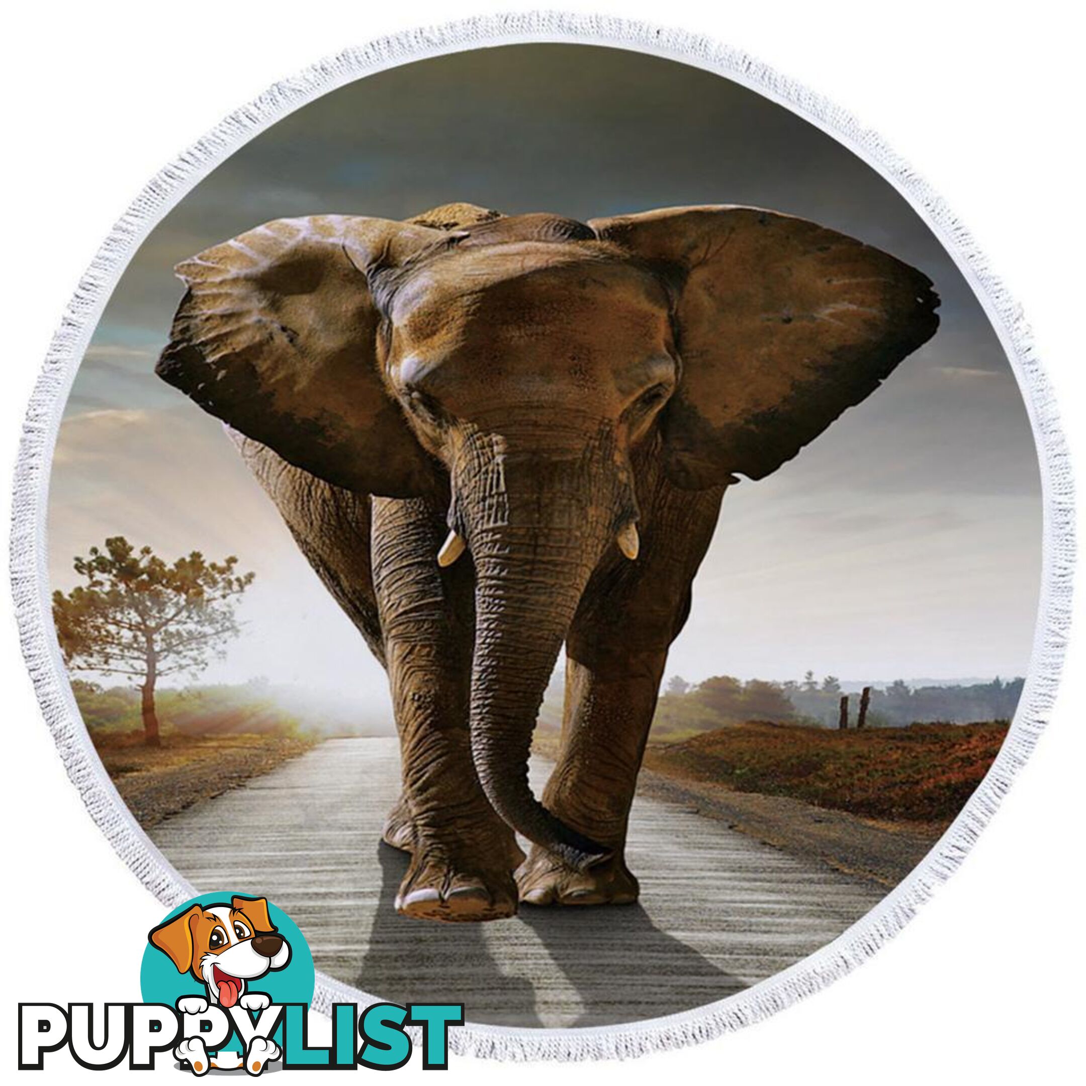 Elephant Photo Beach Towel - Towel - 7427046325875