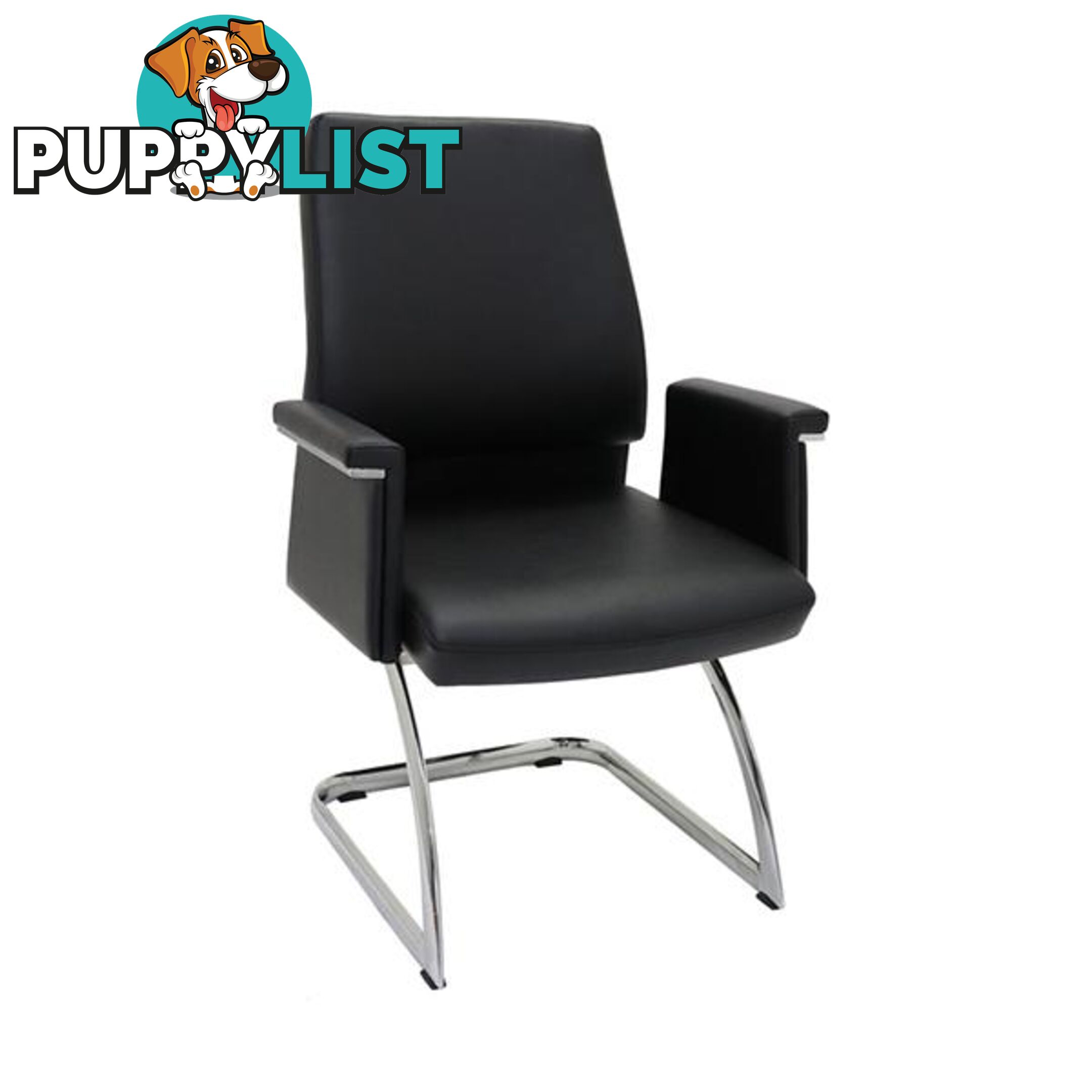 Visitor Vinyl Chair - Unbranded - 787976632441