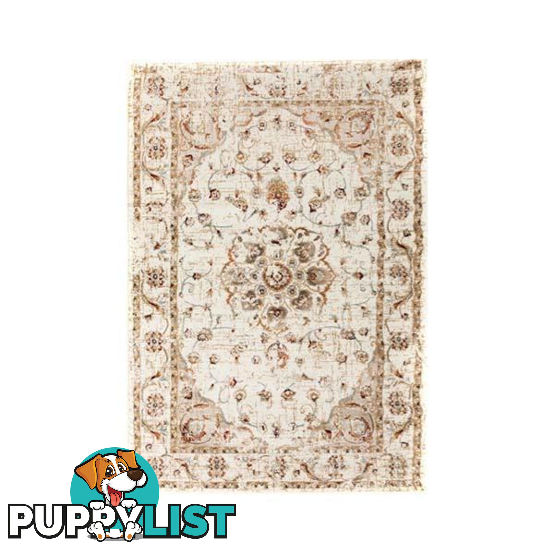 Raffia Traditional Ivory Rug - Unbranded - 787976628079