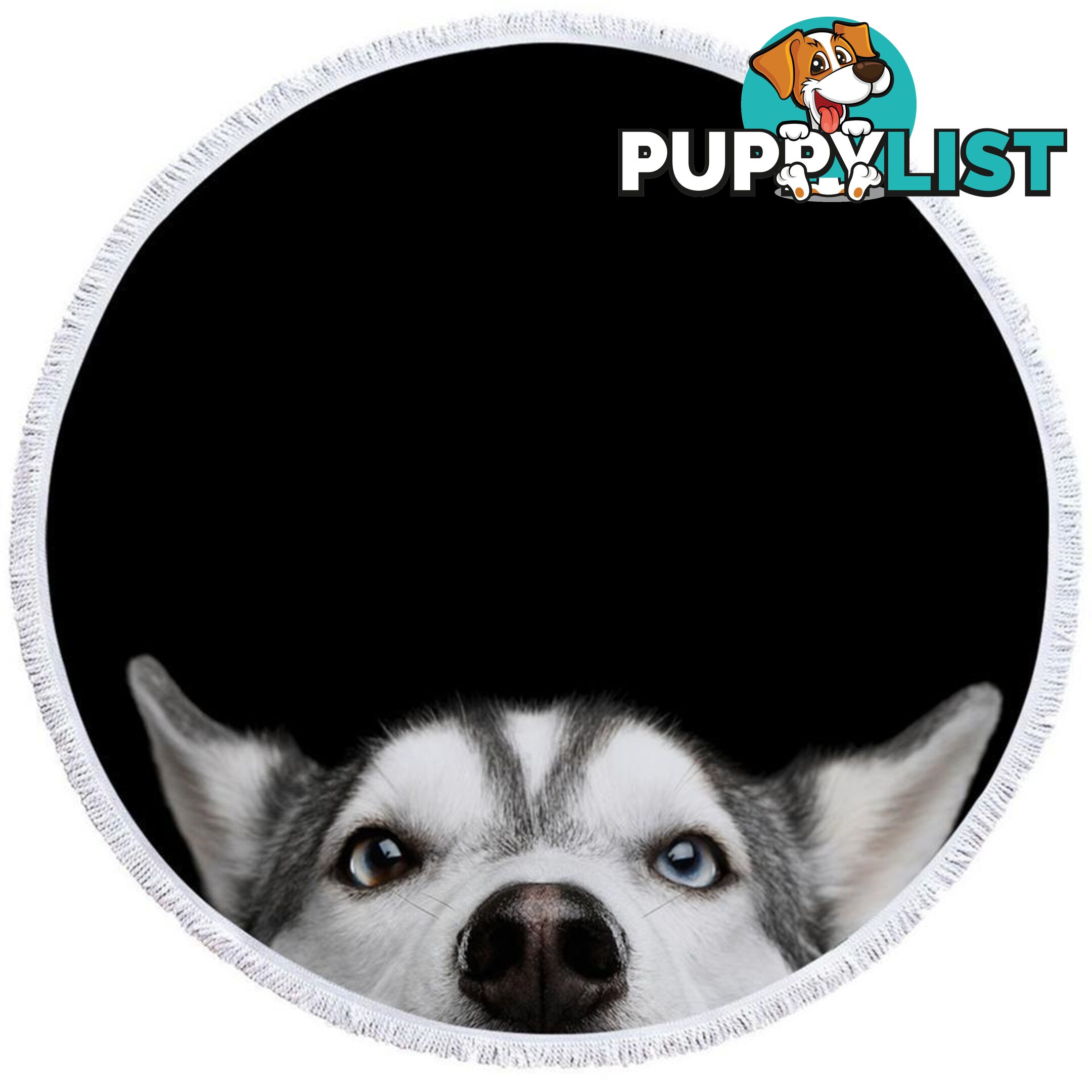 Cute Husky Dog Beach Towel - Towel - 7427046313018