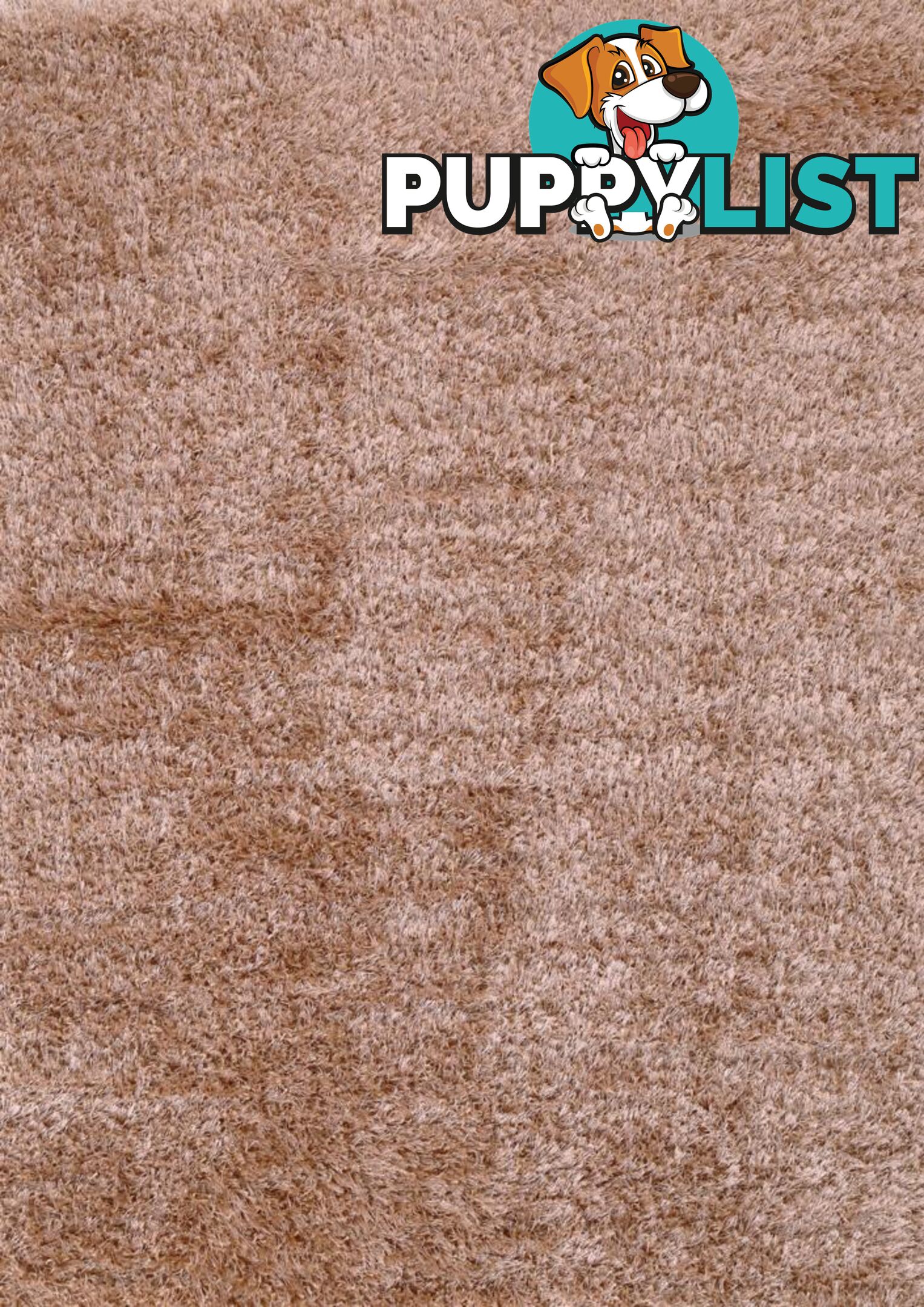 FLASH SHAGGY BEIGE RUG - Unbranded - 7427046337847