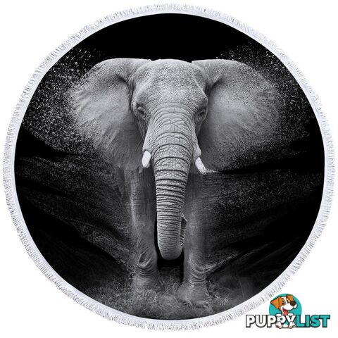 Black and White Elephant Photo Beach Towel - Towel - 7427046313223