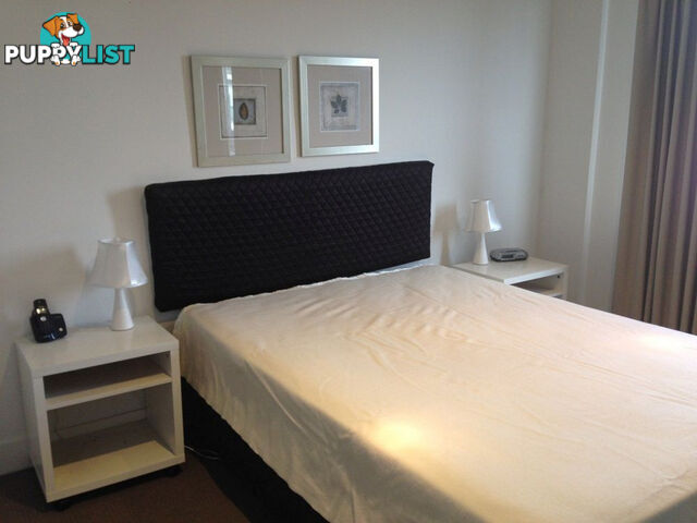 167/77 Northbourne Avenue TURNER ACT 2612