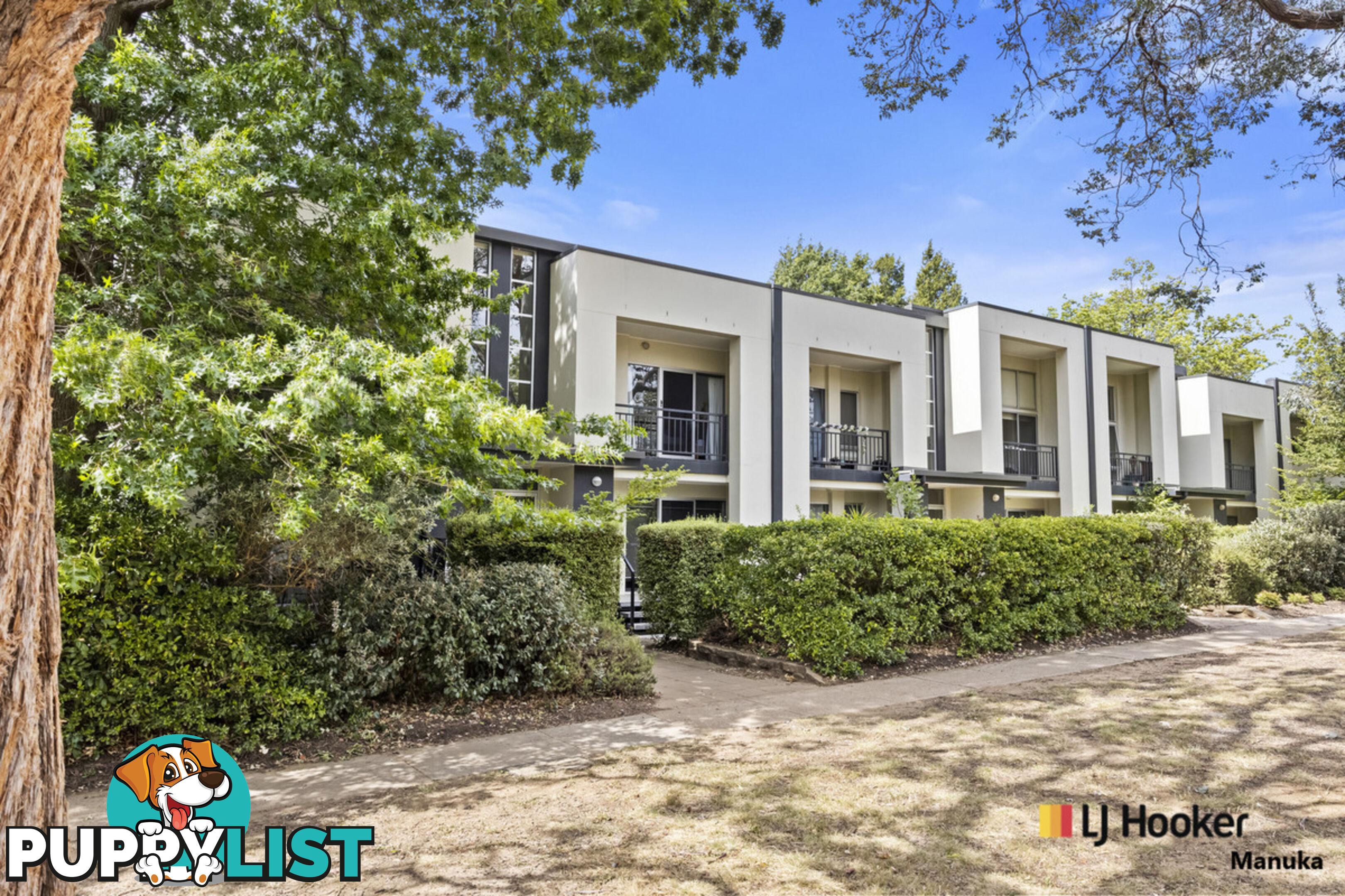 8/48 Henty Street BRADDON ACT 2612