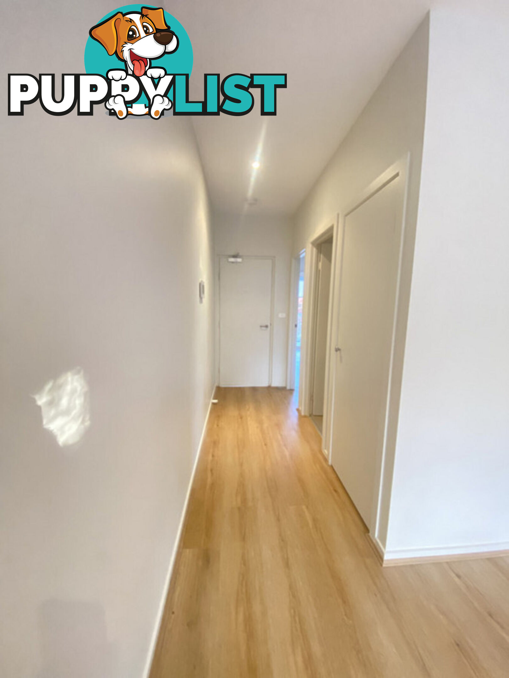 4/15 Fox Place LYNEHAM ACT 2602