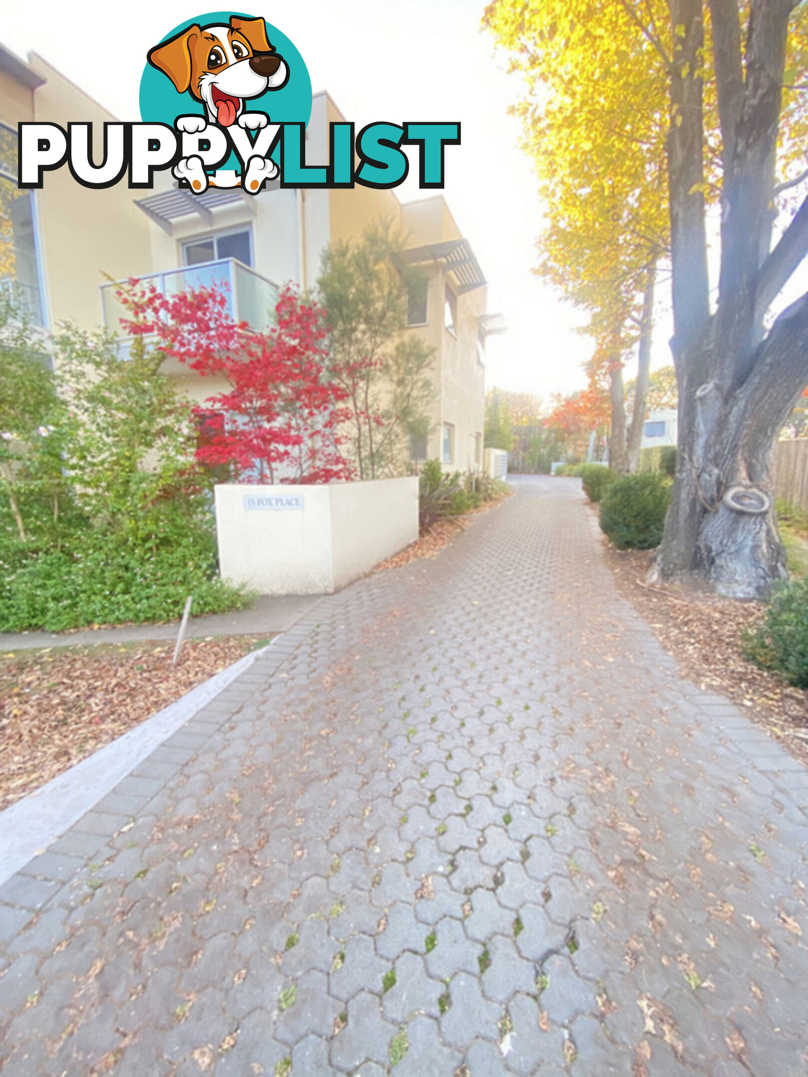 4/15 Fox Place LYNEHAM ACT 2602