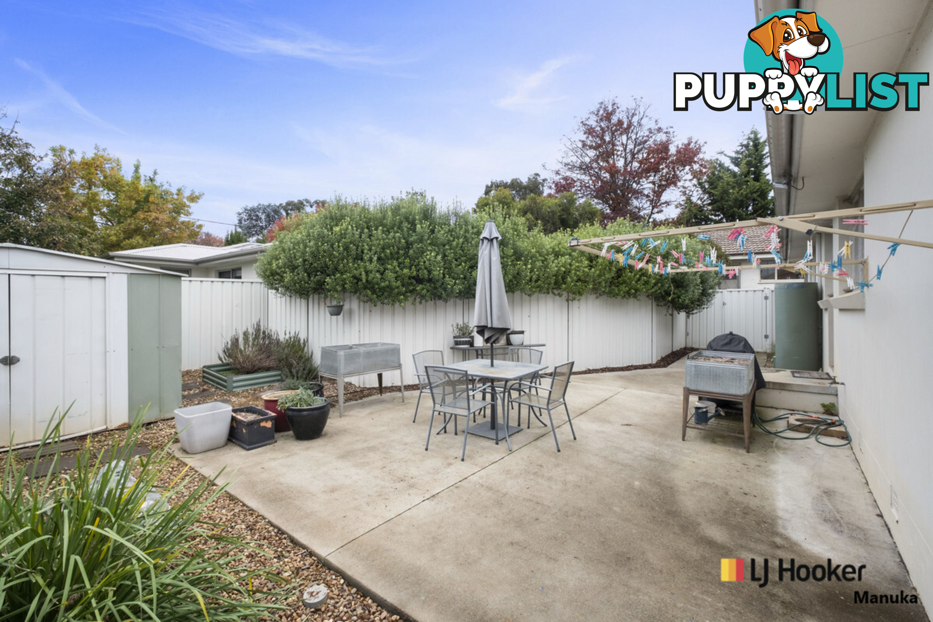 54A McCulloch Street CURTIN ACT 2605