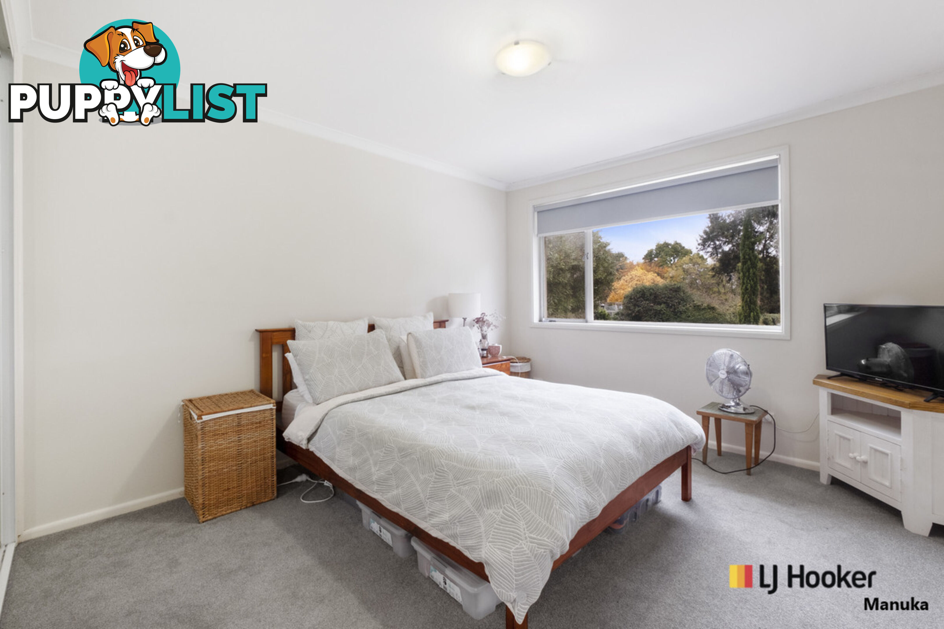 54A McCulloch Street CURTIN ACT 2605