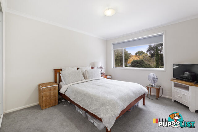 54A McCulloch Street CURTIN ACT 2605