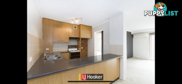 14/103 Canberra Avenue GRIFFITH ACT 2603