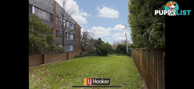 14/103 Canberra Avenue GRIFFITH ACT 2603