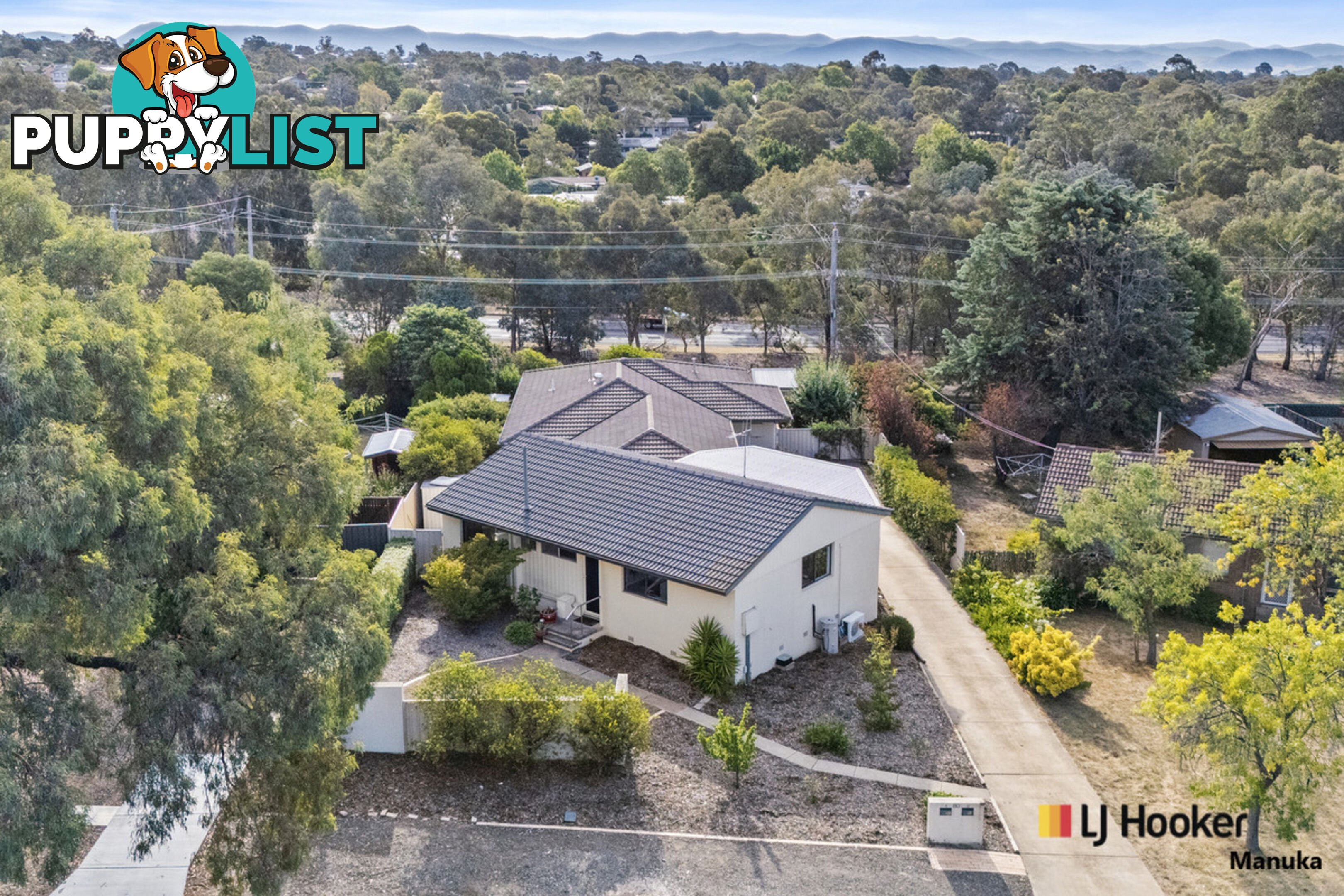 80A Arndell Street MACQUARIE ACT 2614