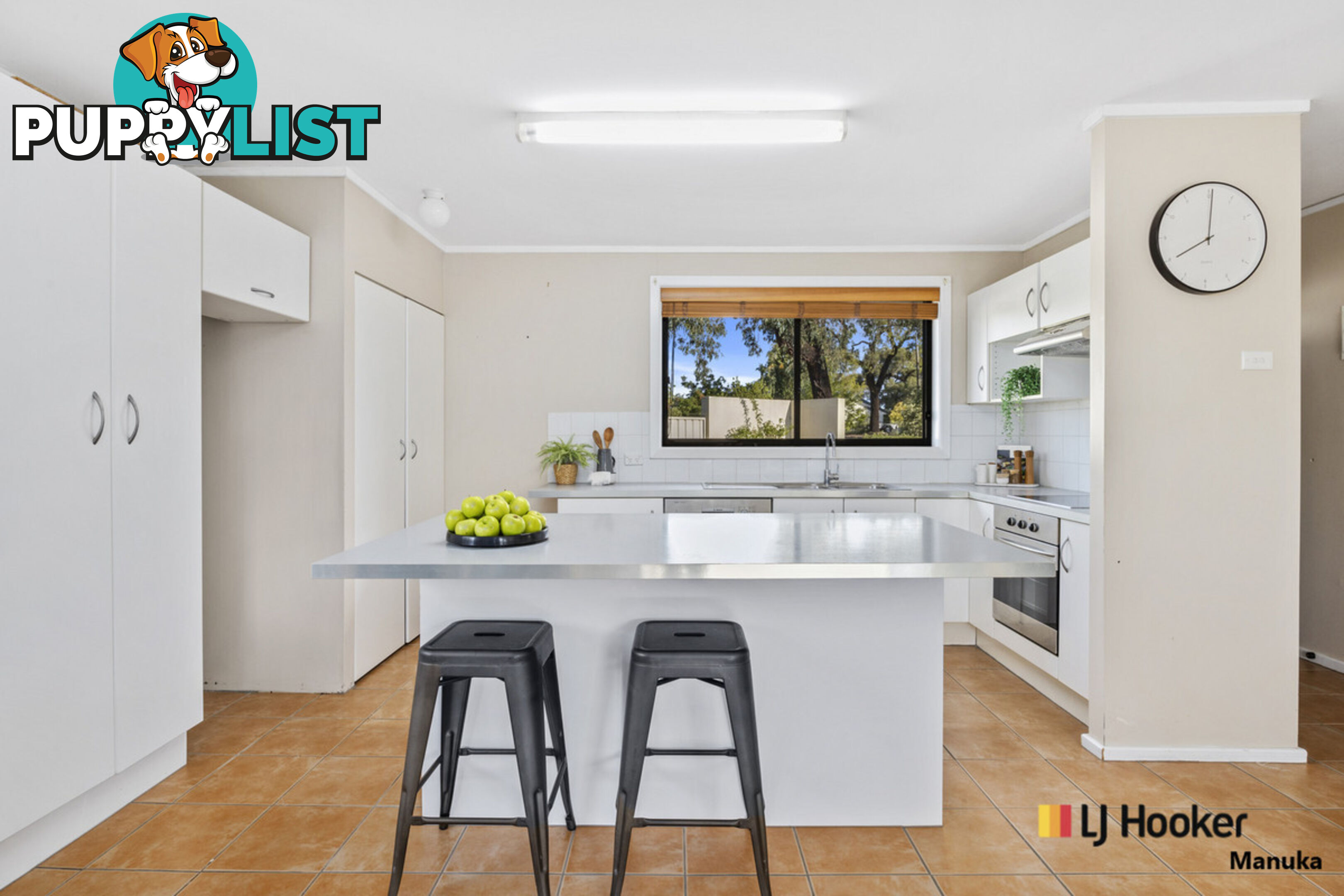 80A Arndell Street MACQUARIE ACT 2614