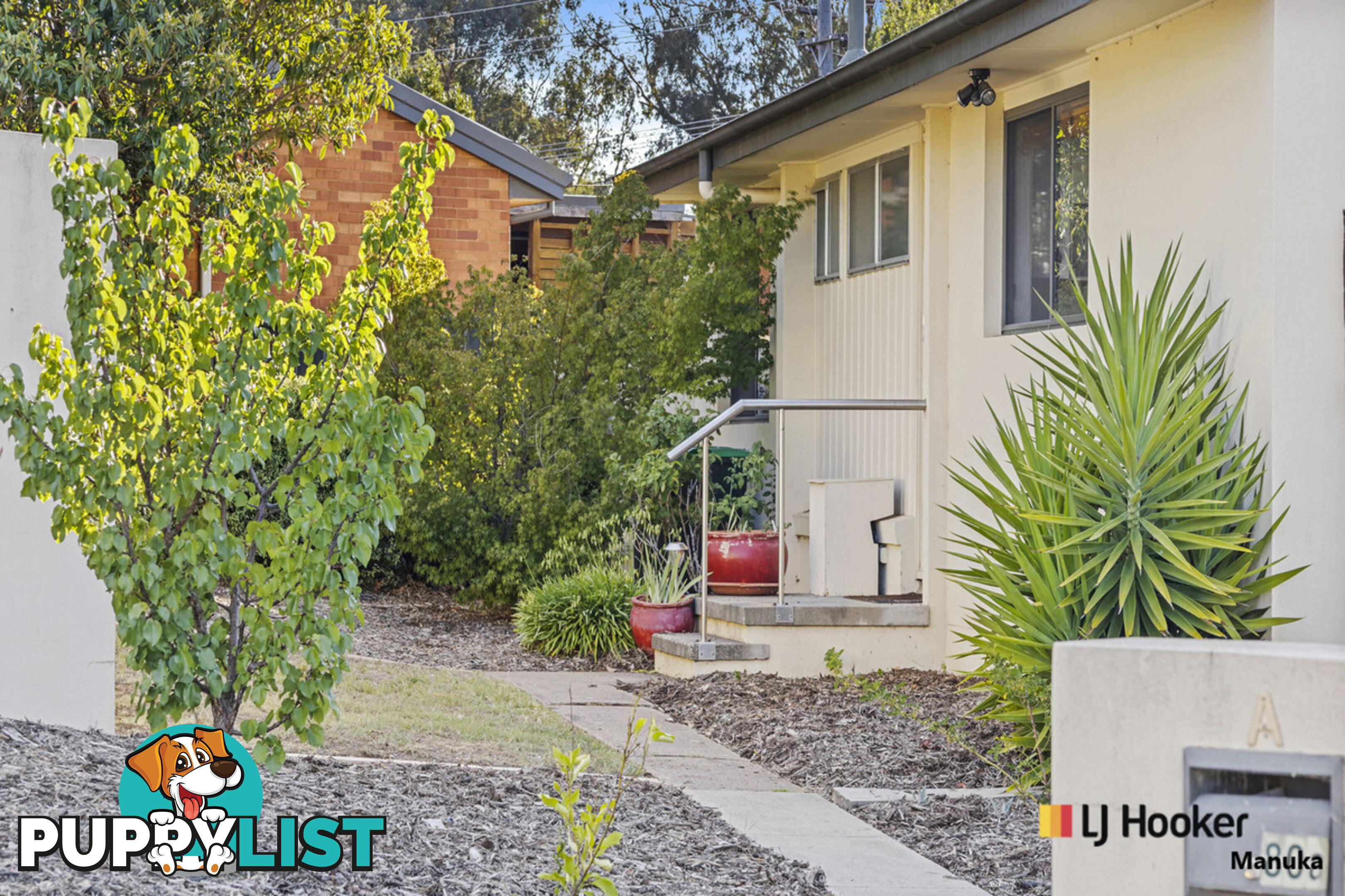 80A Arndell Street MACQUARIE ACT 2614