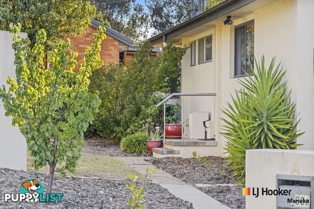 80A Arndell Street MACQUARIE ACT 2614