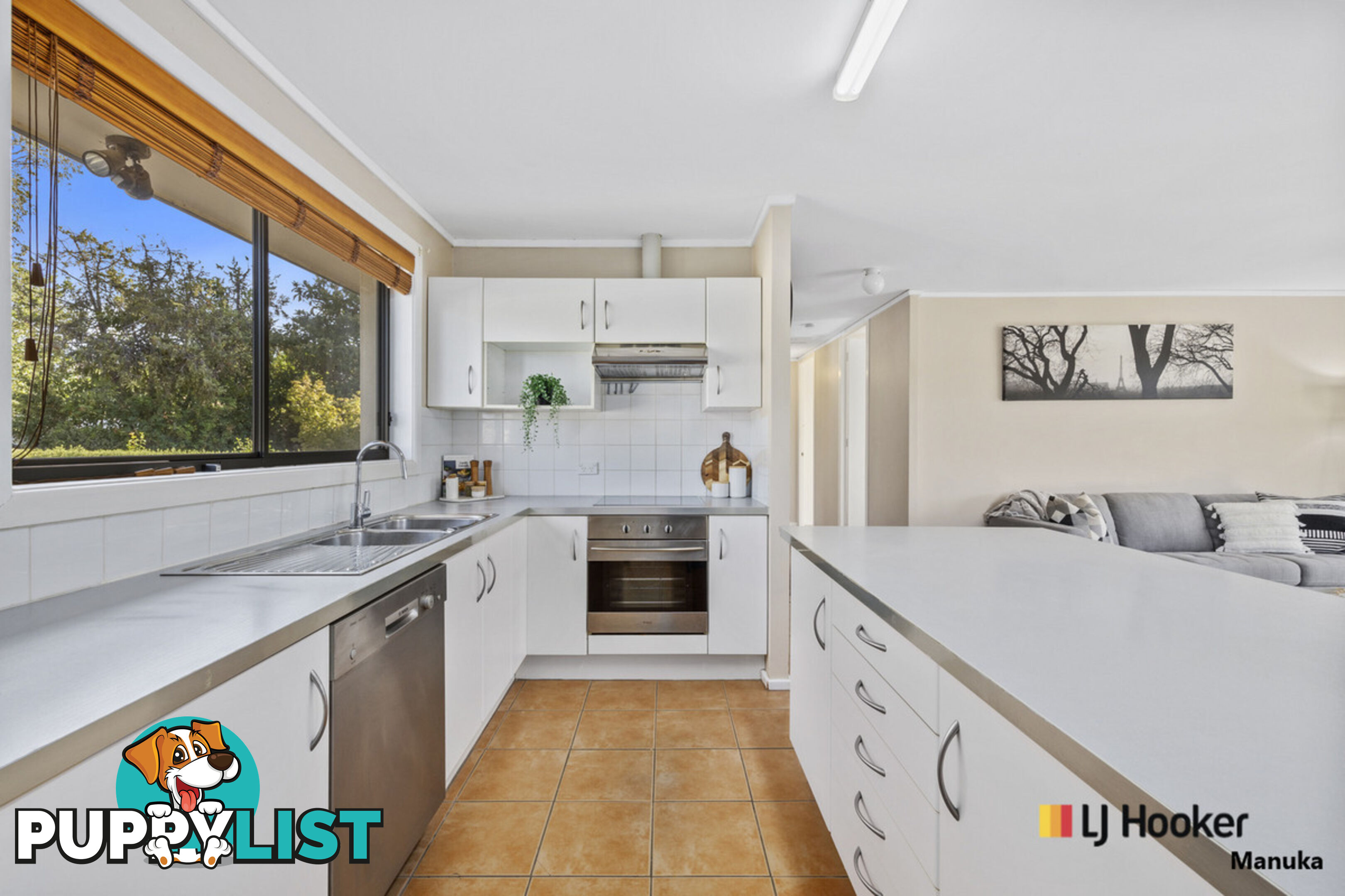 80A Arndell Street MACQUARIE ACT 2614