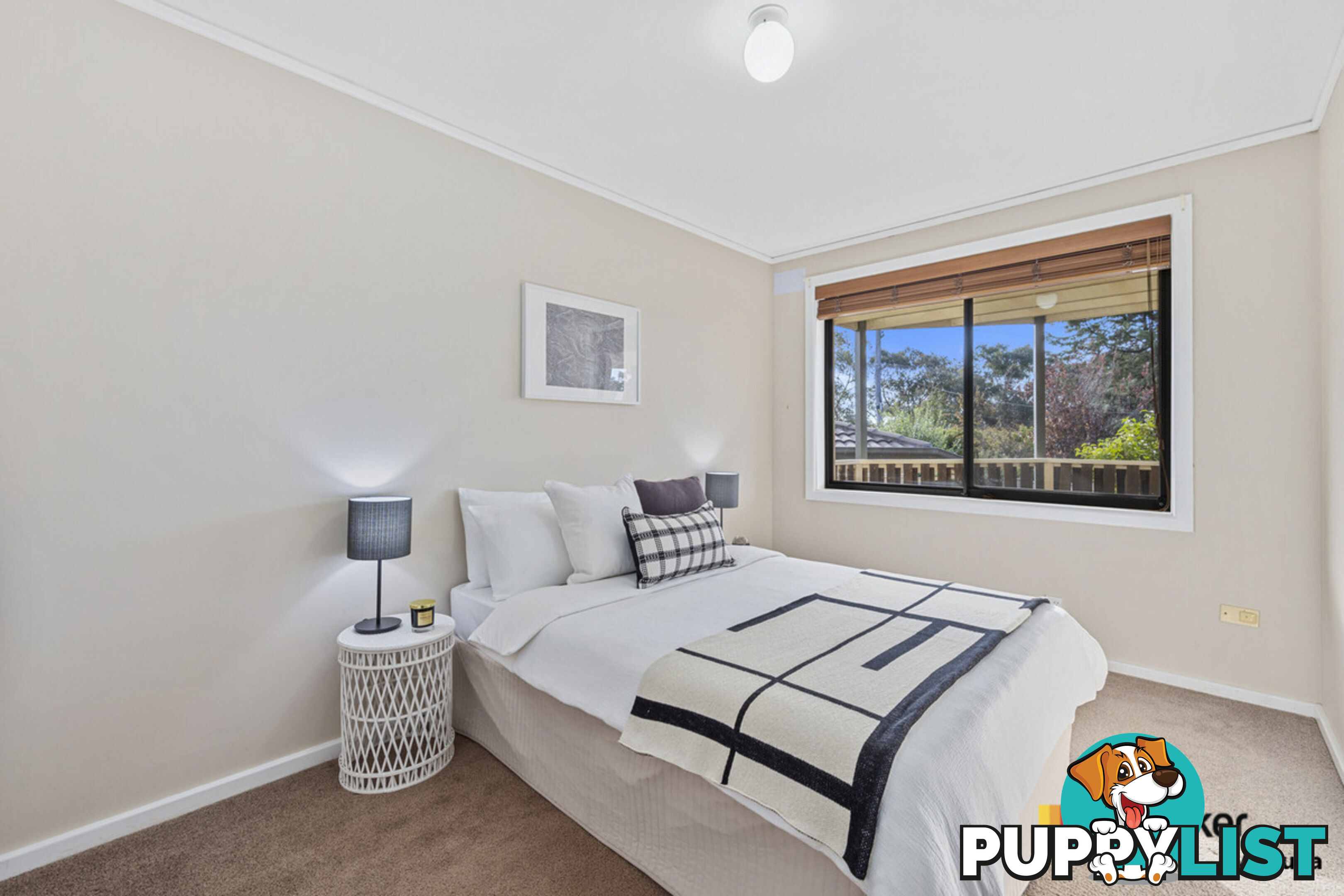 80A Arndell Street MACQUARIE ACT 2614