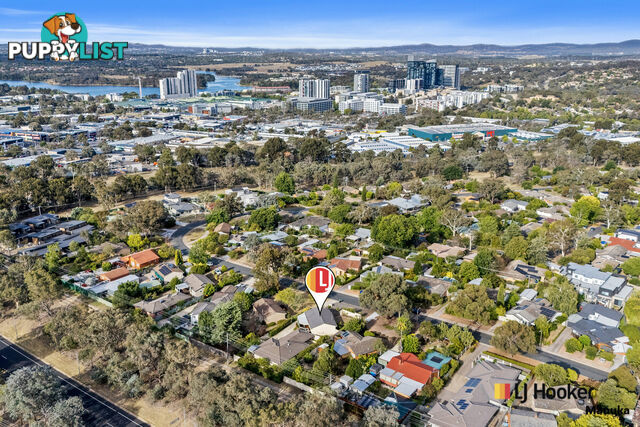 80A Arndell Street MACQUARIE ACT 2614