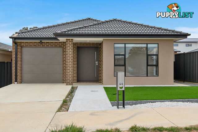 46 Dunnart Circuit THROSBY ACT 2914