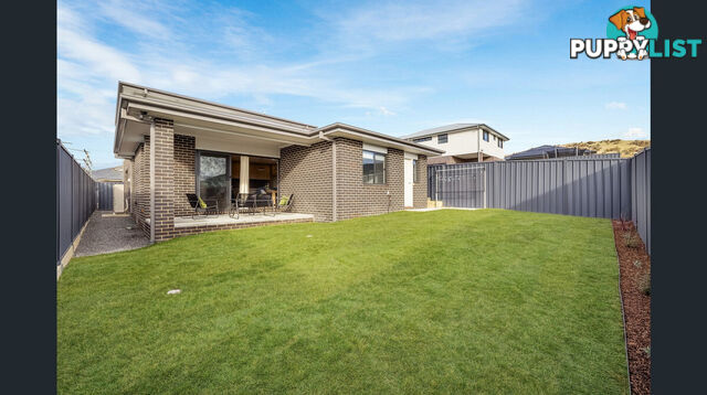 16 Sunray Street TRALEE NSW 2620