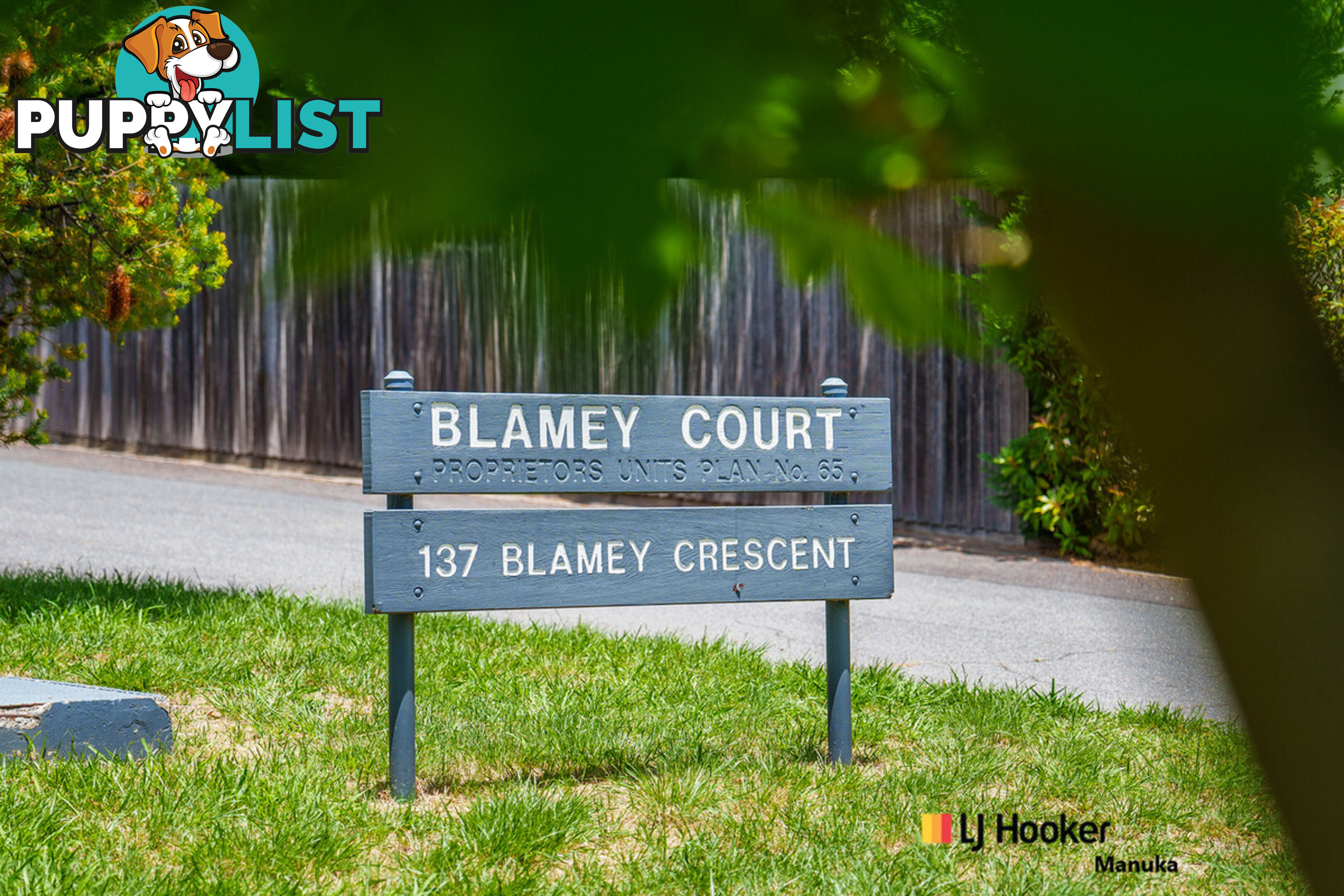 11/137 Blamey Crescent CAMPBELL ACT 2612