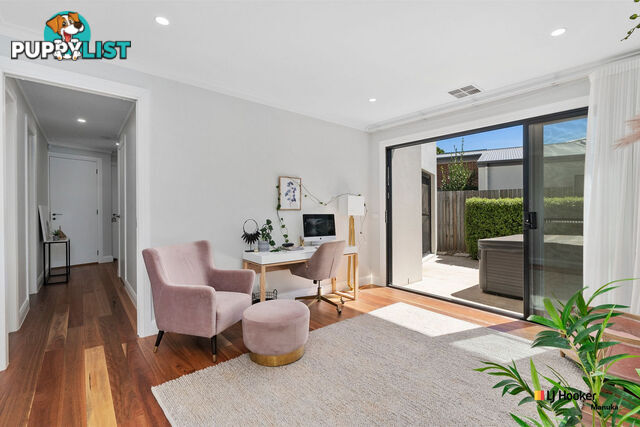 16 Wills Street GRIFFITH ACT 2603