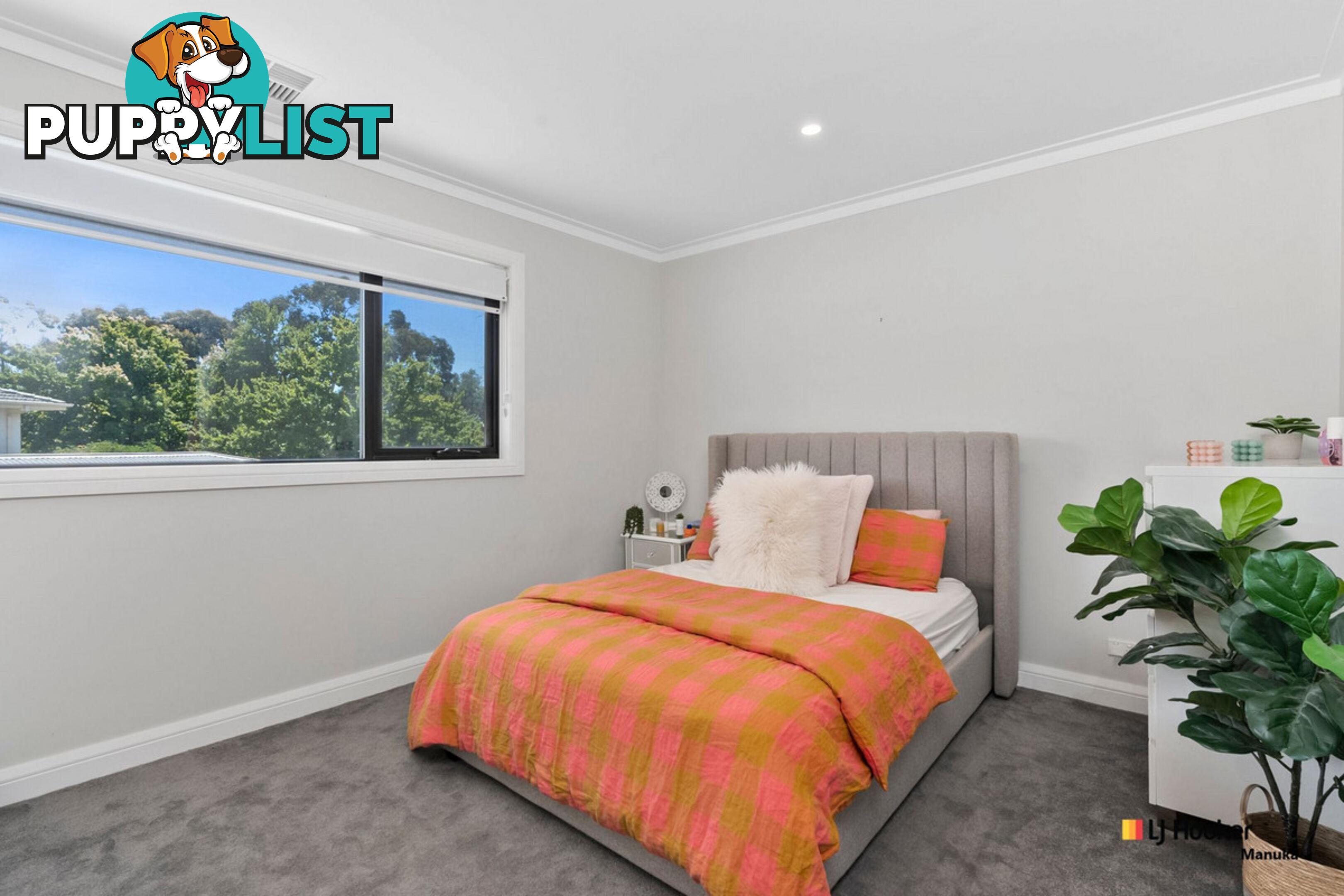 16 Wills Street GRIFFITH ACT 2603