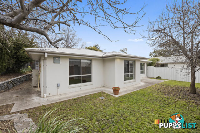 54B McCulloch Street CURTIN ACT 2605