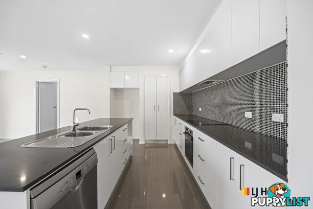 54B McCulloch Street CURTIN ACT 2605
