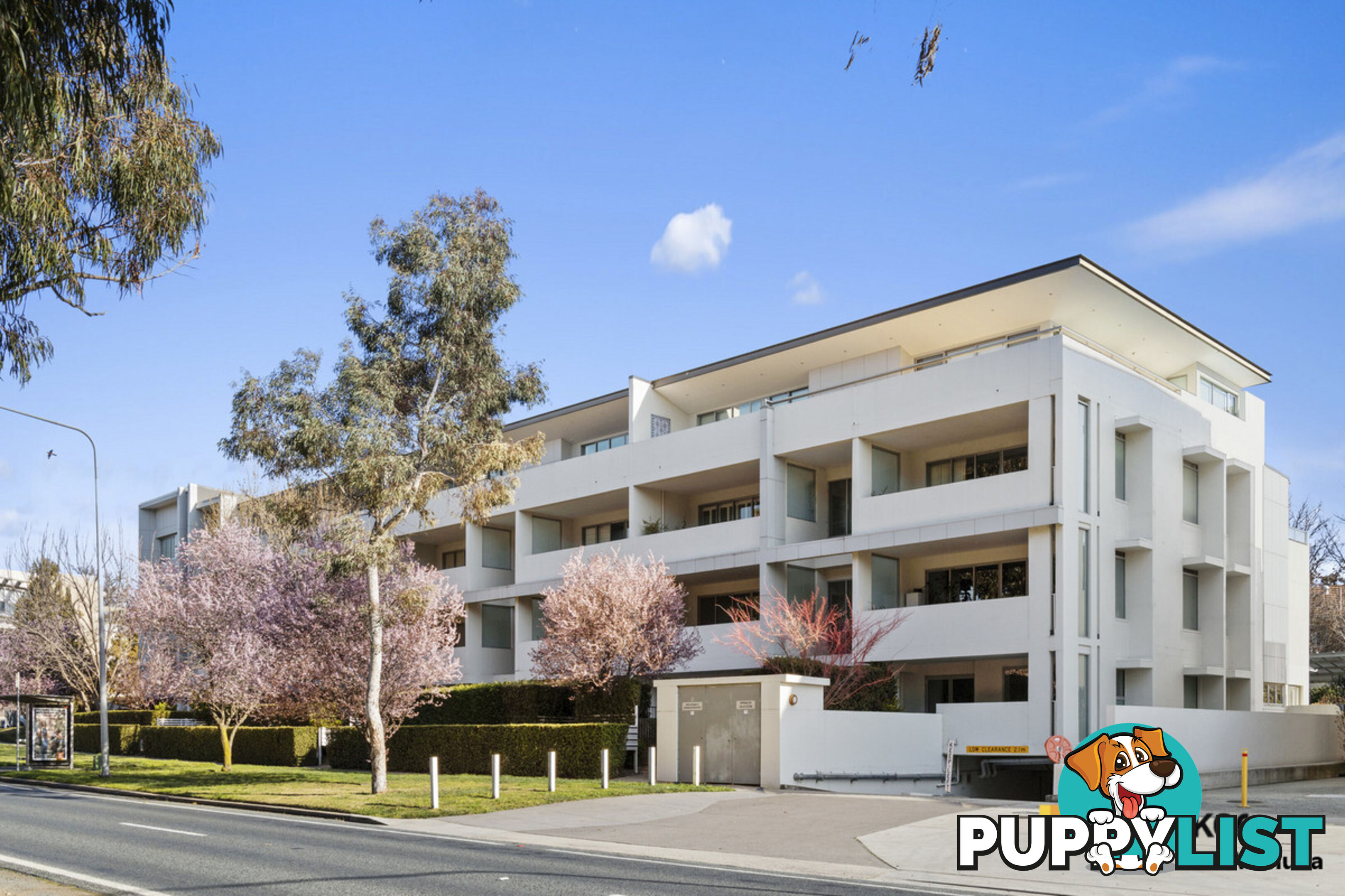 26/28 Canberra Avenue FORREST ACT 2603